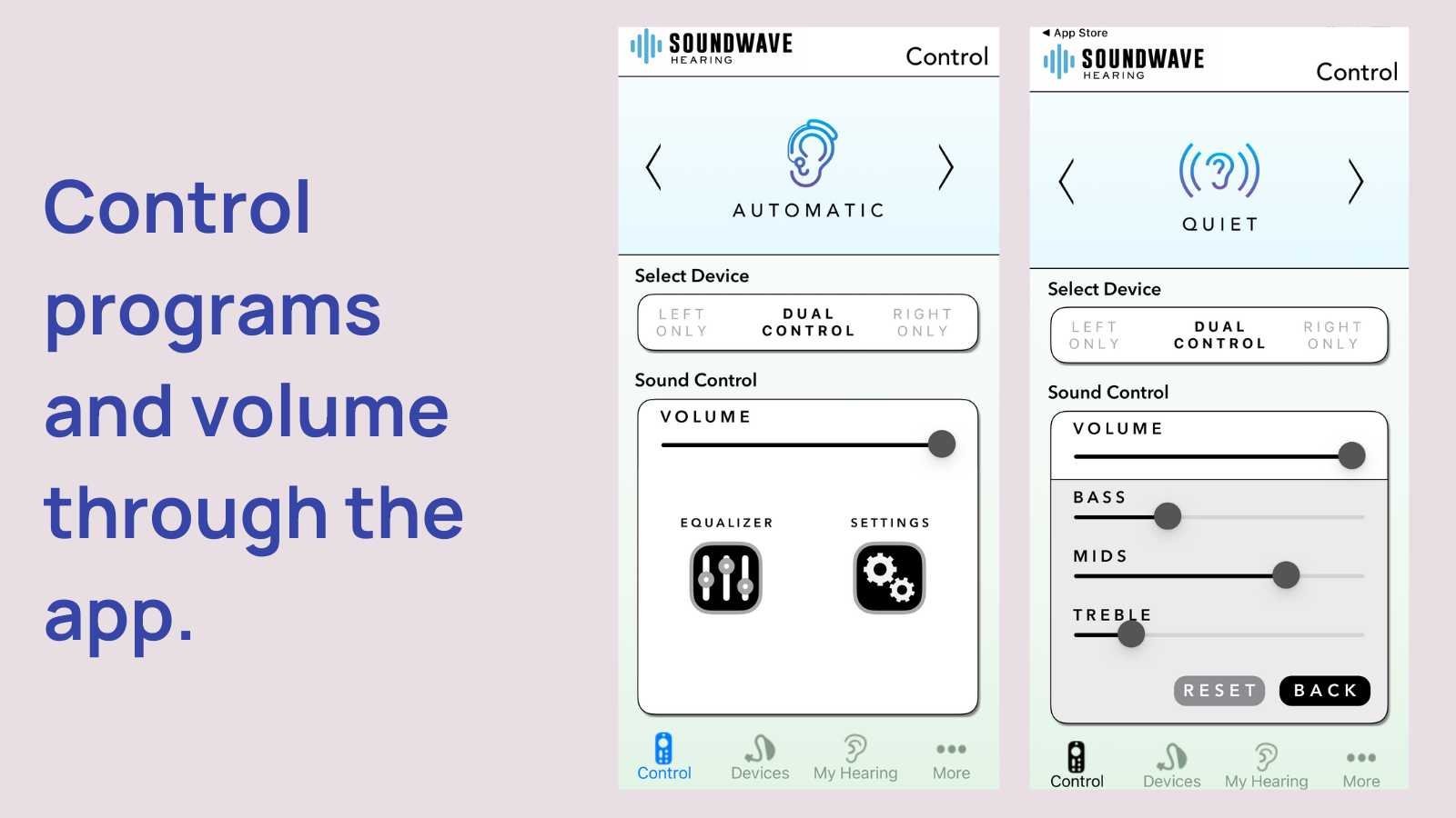 Sontro hearing controls